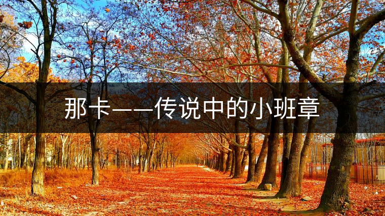 那卡——傳說中的小班章 那卡——傳說中的小班章