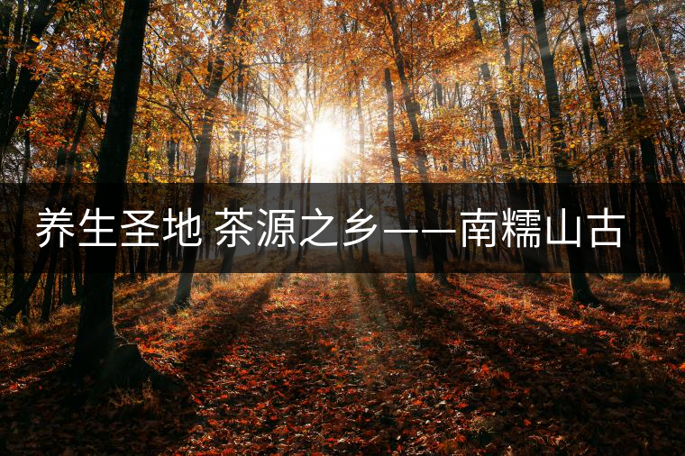 養(yǎng)生圣地 茶源之鄉(xiāng)——南糯山古茶區(qū)