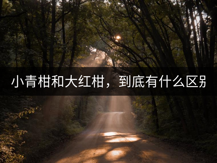 小青柑和大紅柑，到底有什么區(qū)別？