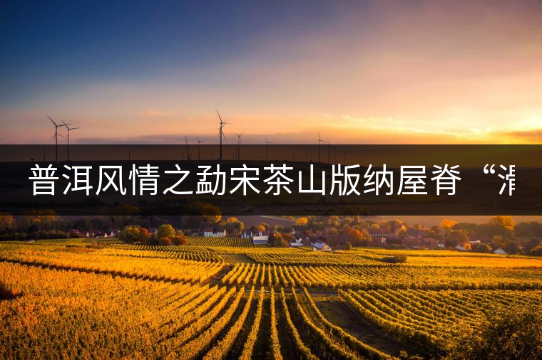 普洱風情之勐宋茶山版納屋脊“滑竹梁子”