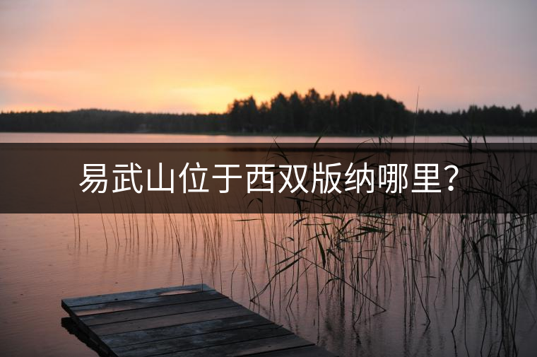 易武山位于西雙版納哪里？