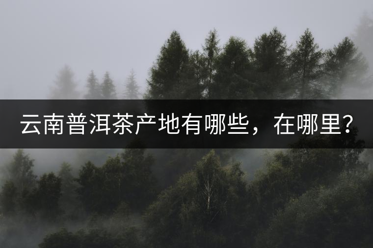 云南普洱茶產(chǎn)地有哪些，在哪里？