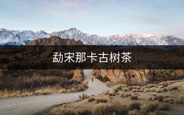 勐宋那卡古樹茶 勐宋那卡古樹茶