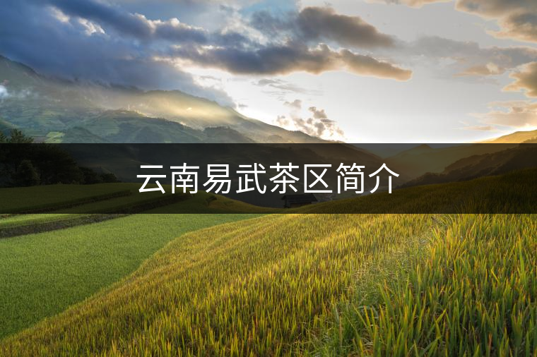 云南易武茶區(qū)簡介 云南易武茶區(qū)簡介