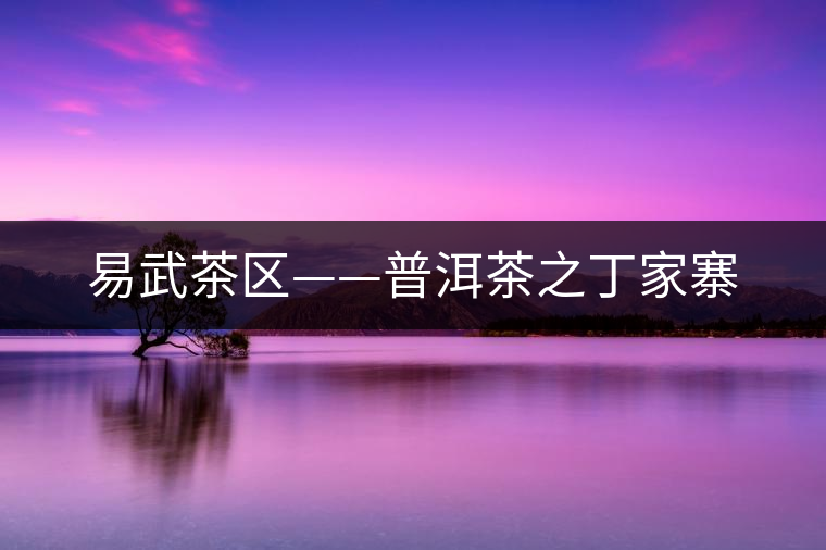 易武茶區(qū)——普洱茶之丁家寨 易武茶區(qū)——普洱茶之丁家寨