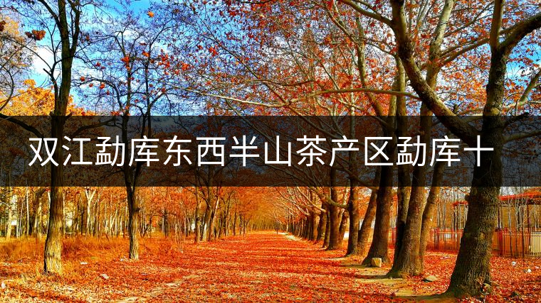 雙江勐庫(kù)東西半山茶產(chǎn)區(qū)勐庫(kù)十六寨