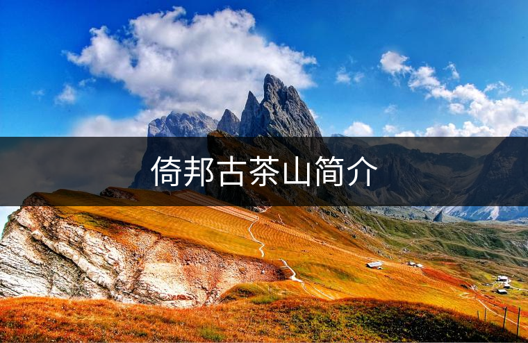 倚邦古茶山簡介