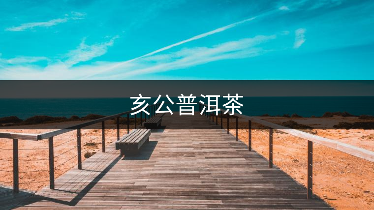 亥公普洱茶