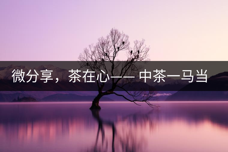 微分享，茶在心—— 中茶一馬當(dāng)先