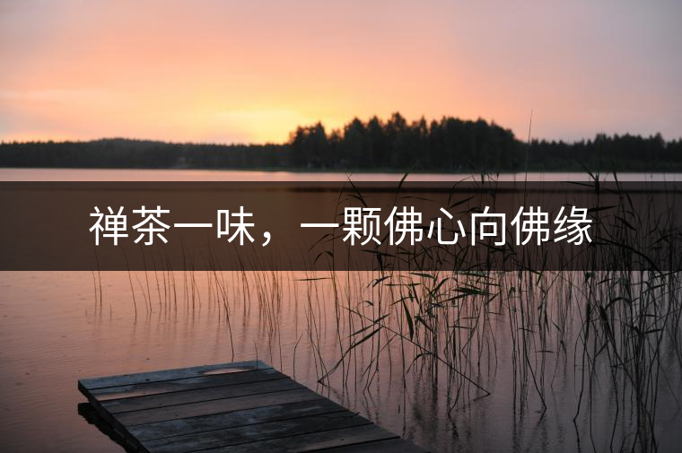 禪茶一味，一顆佛心向佛緣
