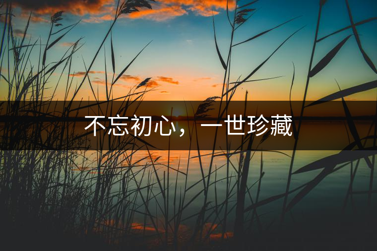 不忘初心，一世珍藏