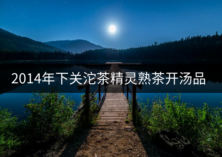 2014年下關(guān)沱茶精靈熟茶開湯品鑒