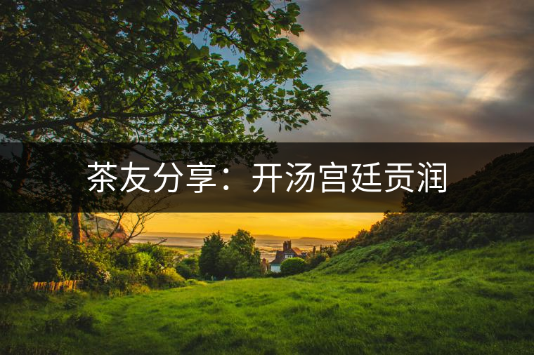 茶友分享:開(kāi)湯宮廷貢潤(rùn) 茶友分享:開(kāi)湯宮廷貢潤(rùn)