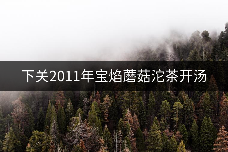 下關(guān)2011年寶焰蘑菇沱茶開湯 下關(guān)2011年寶焰蘑菇沱茶開湯