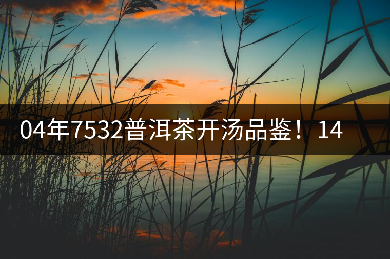 04年7532普洱茶開湯品鑒！14年轉(zhuǎn)化，經(jīng)典雪印配方！