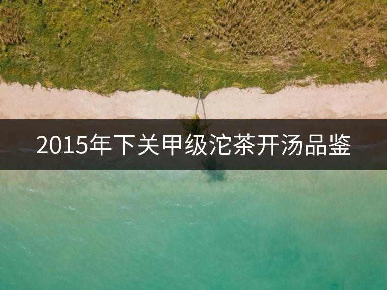 2015年下關甲級沱茶開湯品鑒 2015年下關甲級沱茶開湯品鑒