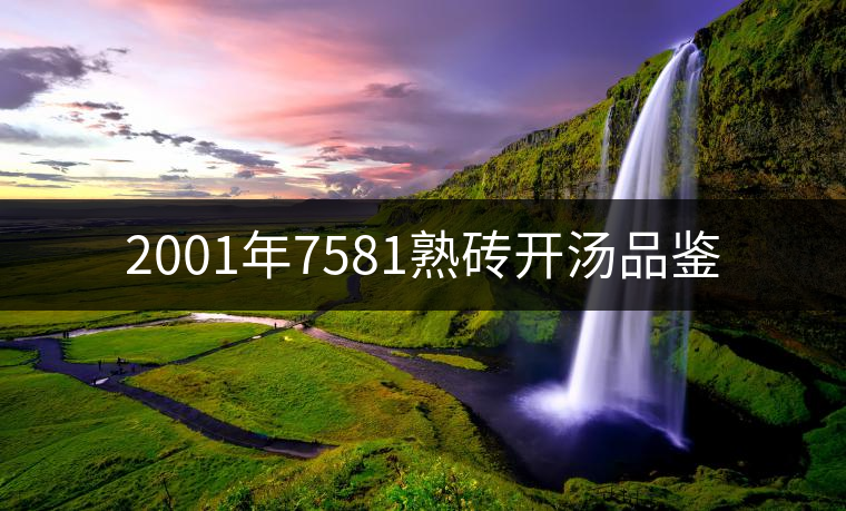 2001年7581熟磚開湯品鑒 2001年7581熟磚開湯品鑒