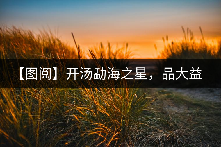 【圖閱】開湯勐海之星，品大益熟茶滋味