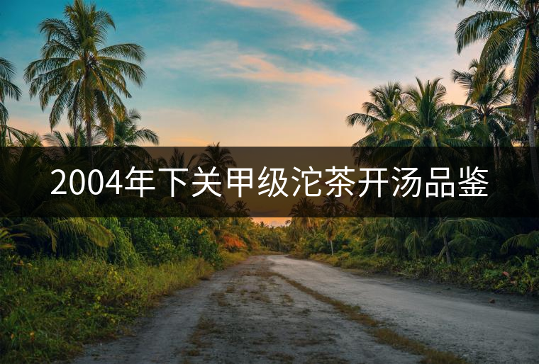 2004年下關(guān)甲級(jí)沱茶開湯品鑒 2004年下關(guān)甲級(jí)沱茶開湯品鑒