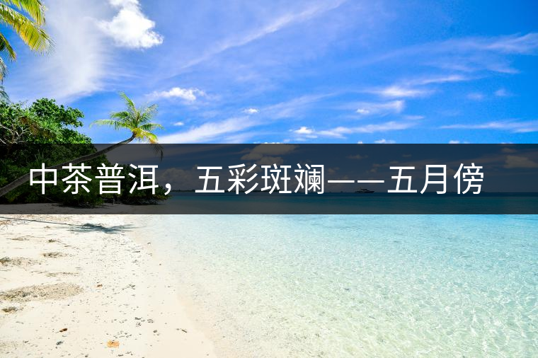 中茶普洱，五彩斑斕——五月傍晚，一道茶