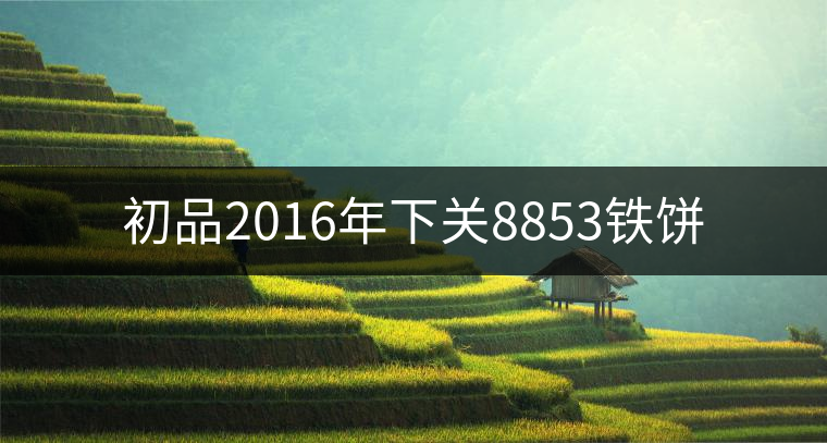 初品2016年下關(guān)8853鐵餅 初品2016年下關(guān)8853鐵餅