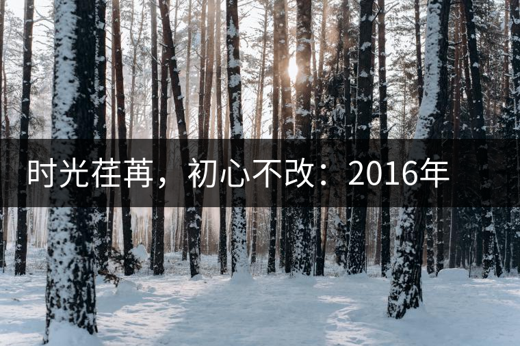 時(shí)光荏苒，初心不改：2016年老同志為天下人做好茶開(kāi)湯