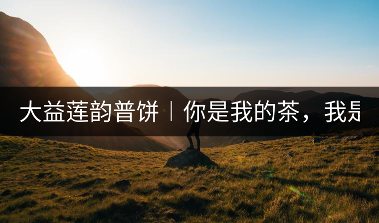 大益蓮韻普餅︱你是我的茶，我是你的人！