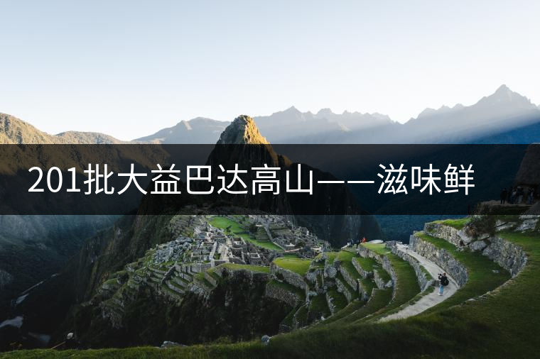 201批大益巴達(dá)高山——滋味鮮爽醇厚，回甘高而持久