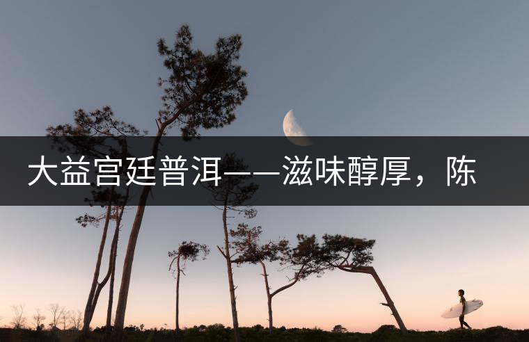 大益宮廷普洱——滋味醇厚，陳香濃郁