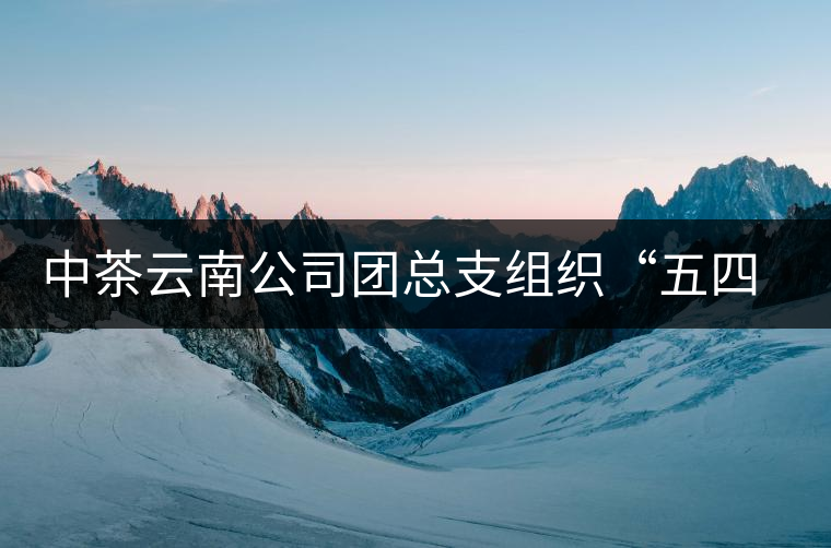 中茶云南公司團(tuán)總支組織“五四”青年節(jié)活動 中茶云南公司團(tuán)總支組織“五四”青年節(jié)活動