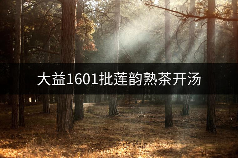 大益1601批蓮韻熟茶開(kāi)湯 大益1601批蓮韻熟茶開(kāi)湯