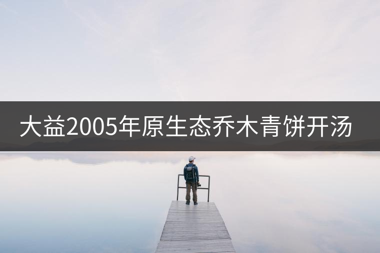 大益2005年原生態(tài)喬木青餅開湯品鑒
