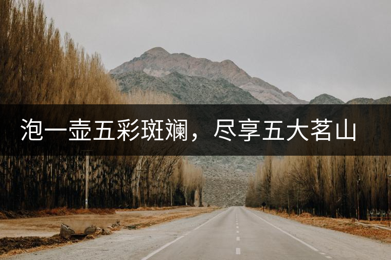 泡一壺五彩斑斕，盡享五大茗山之味