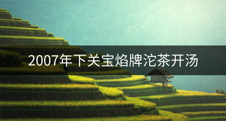 2007年下關(guān)寶焰牌沱茶開(kāi)湯