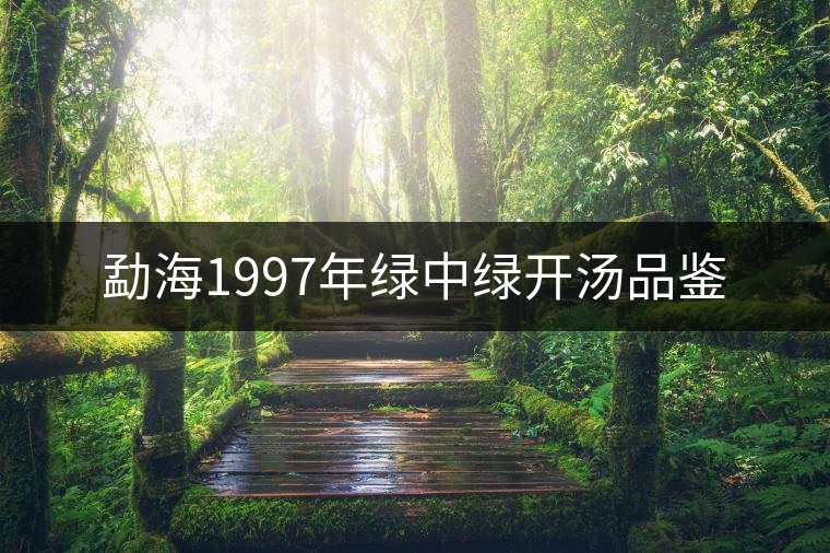 勐海1997年綠中綠開(kāi)湯品鑒 勐海1997年綠中綠開(kāi)湯品鑒