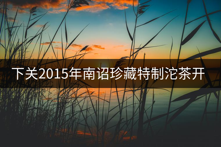 下關2015年南詔珍藏特制沱茶開湯品鑒