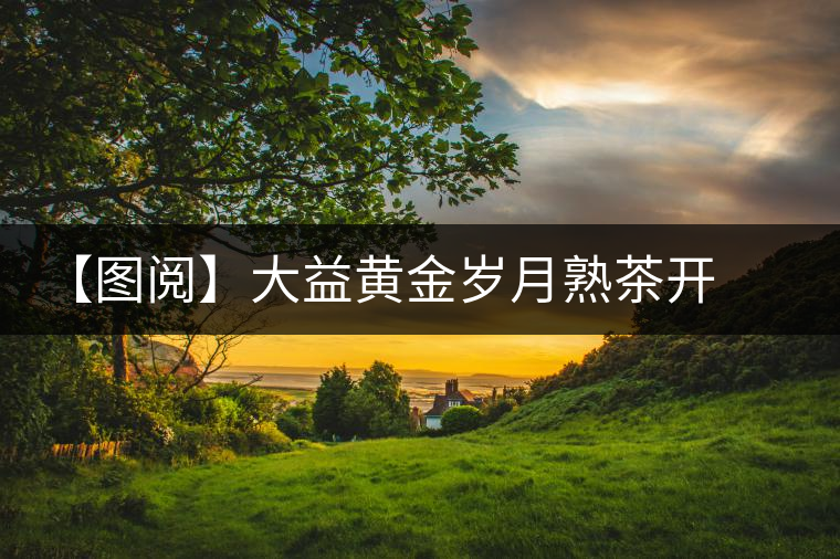 【圖閱】大益黃金歲月熟茶開湯