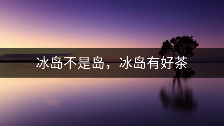 冰島不是島，冰島有好茶
