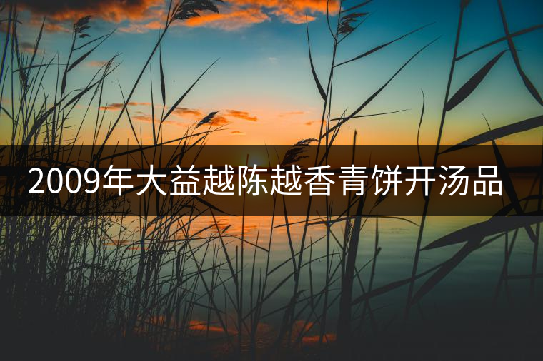 2009年大益越陳越香青餅開湯品鑒