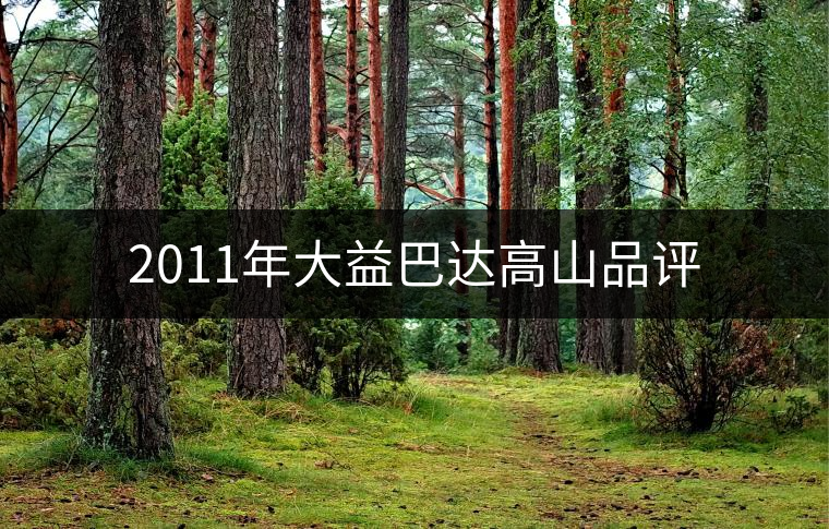 2011年大益巴達(dá)高山品評(píng) 2011年大益巴達(dá)高山品評(píng)