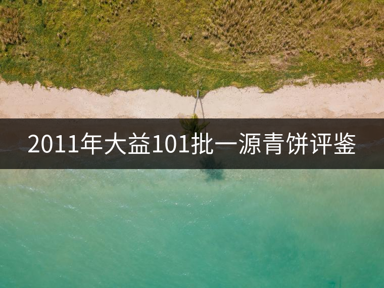 2011年大益101批一源青餅評鑒