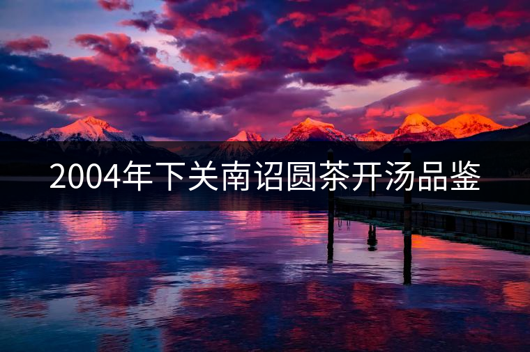 2004年下關(guān)南詔圓茶開(kāi)湯品鑒 2004年下關(guān)南詔圓茶開(kāi)湯品鑒
