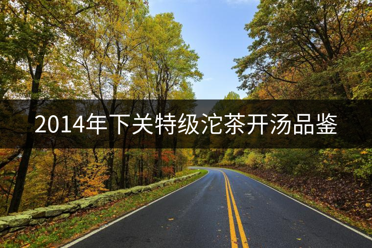 2014年下關(guān)特級(jí)沱茶開湯品鑒 2014年下關(guān)特級(jí)沱茶開湯品鑒