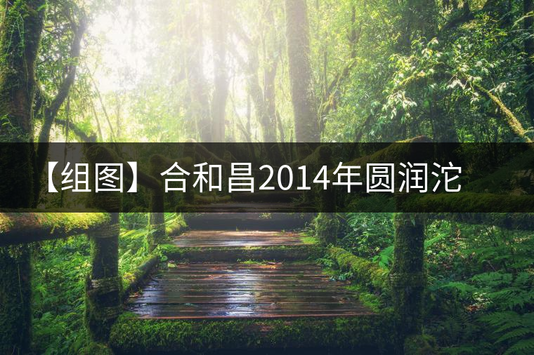 【組圖】合和昌2014年圓潤沱茶開湯 【組圖】合和昌2014年圓潤沱茶開湯