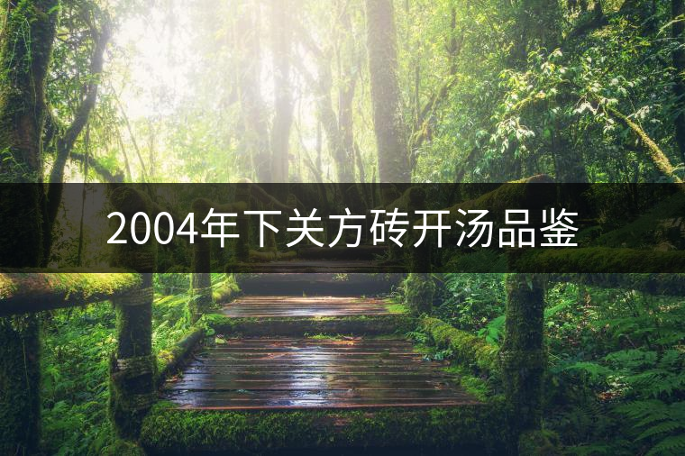 2004年下關方磚開湯品鑒 2004年下關方磚開湯品鑒