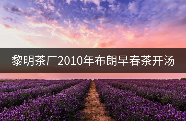 黎明茶廠2010年布朗早春茶開湯