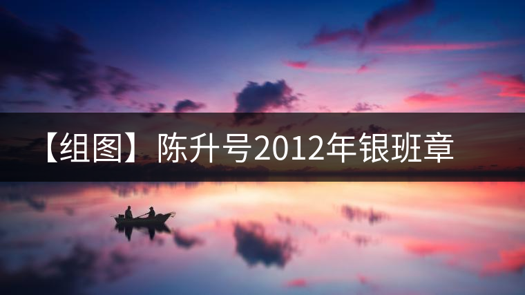 【組圖】陳升號(hào)2012年銀班章磚茶開(kāi)湯