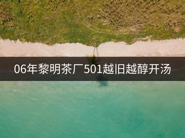 06年黎明茶廠501越舊越醇開(kāi)湯 06年黎明茶廠501越舊越醇開(kāi)湯
