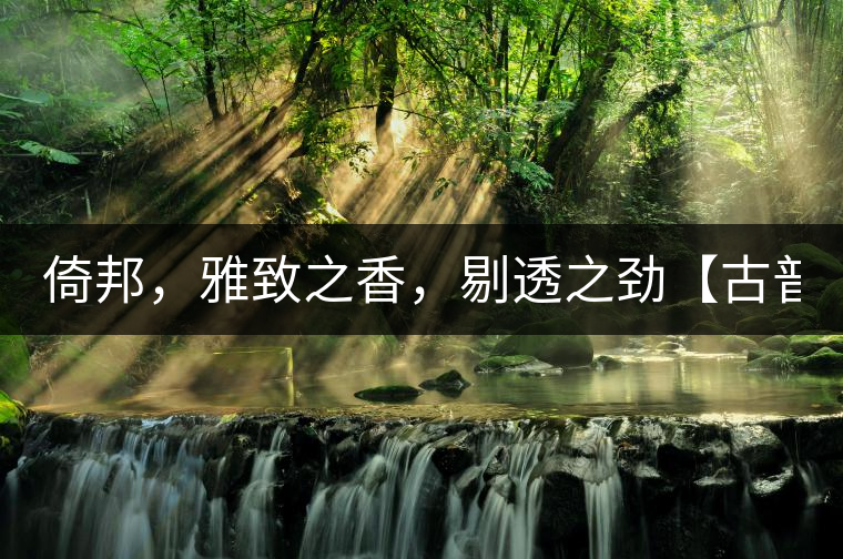 倚邦，雅致之香，剔透之勁【古普十二山品鑒】