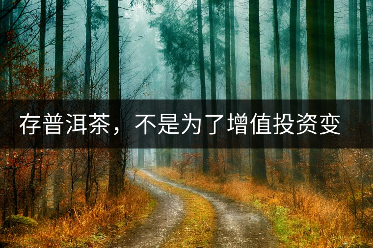 存普洱茶，不是為了增值投資變現(xiàn)，而是為了自己以后有純正的